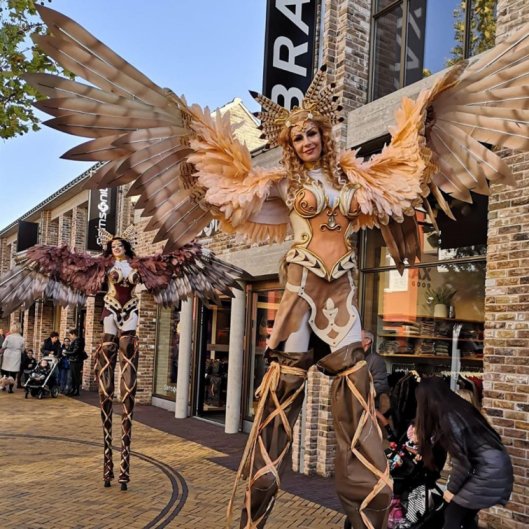 Steltloopacts boekt u bij www.kwekel-evenementen.nl 