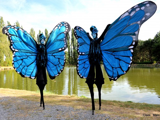 Steltloopacts boekt u bij www.kwekel-evenementen.nl 