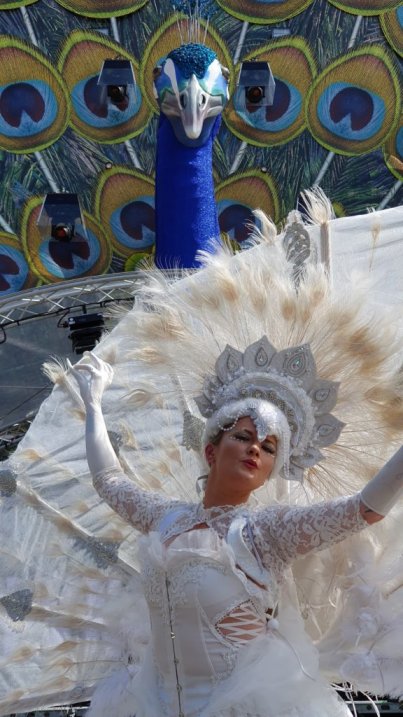 Witte Pauwen boekt u bij www.kerst-entertainment.nl