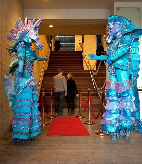 Steltloopacts boekt u bij www.kwekel-evenementen.nl 